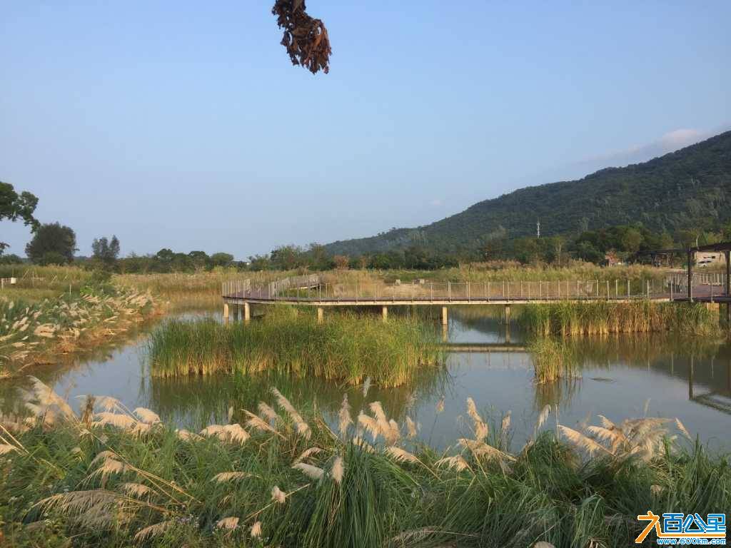 170BA359-03DE-4FA0-BAA1-1985E0CB1D6F.jpeg