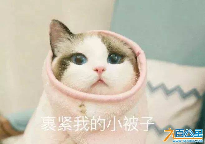 微信图片_20181228095013.jpg