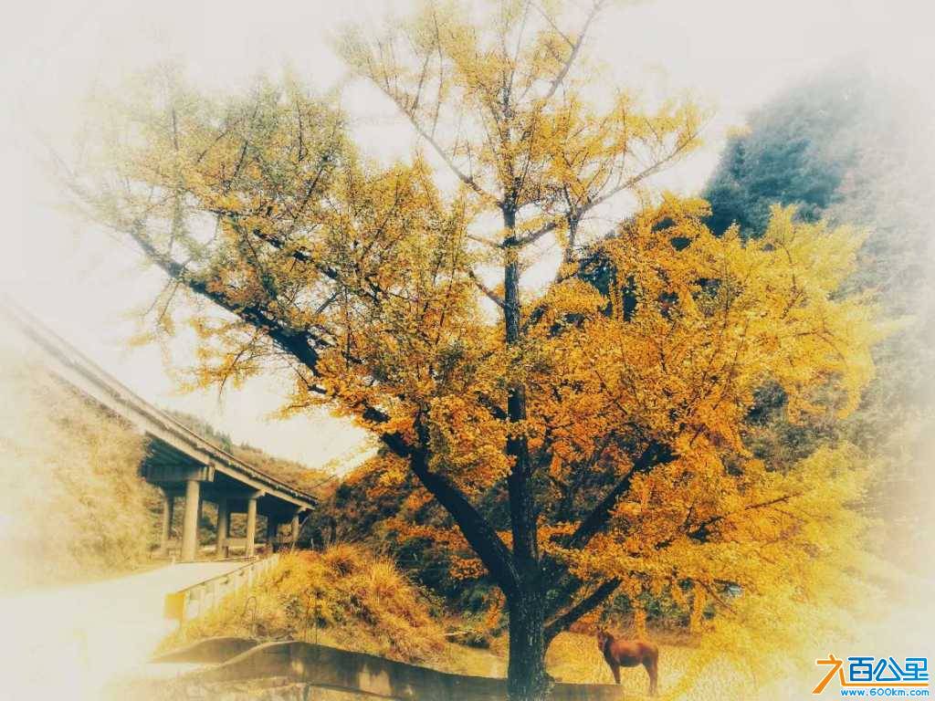 wechat_upload15479525965c43e1d4e1cb0