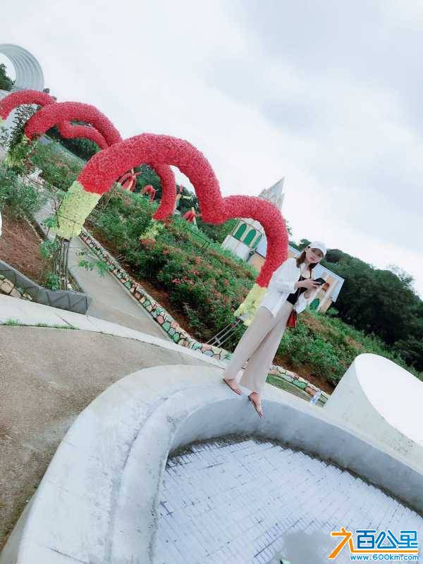 wechat_upload15607351455d06eda92d43f