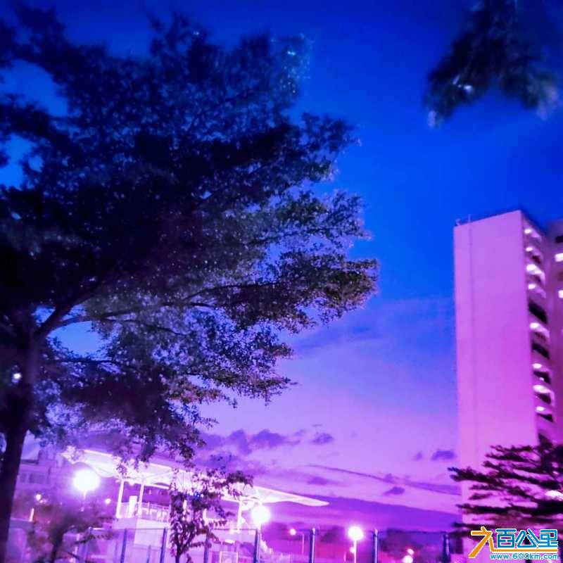 wechat_upload15615100355d12c093f1d8f