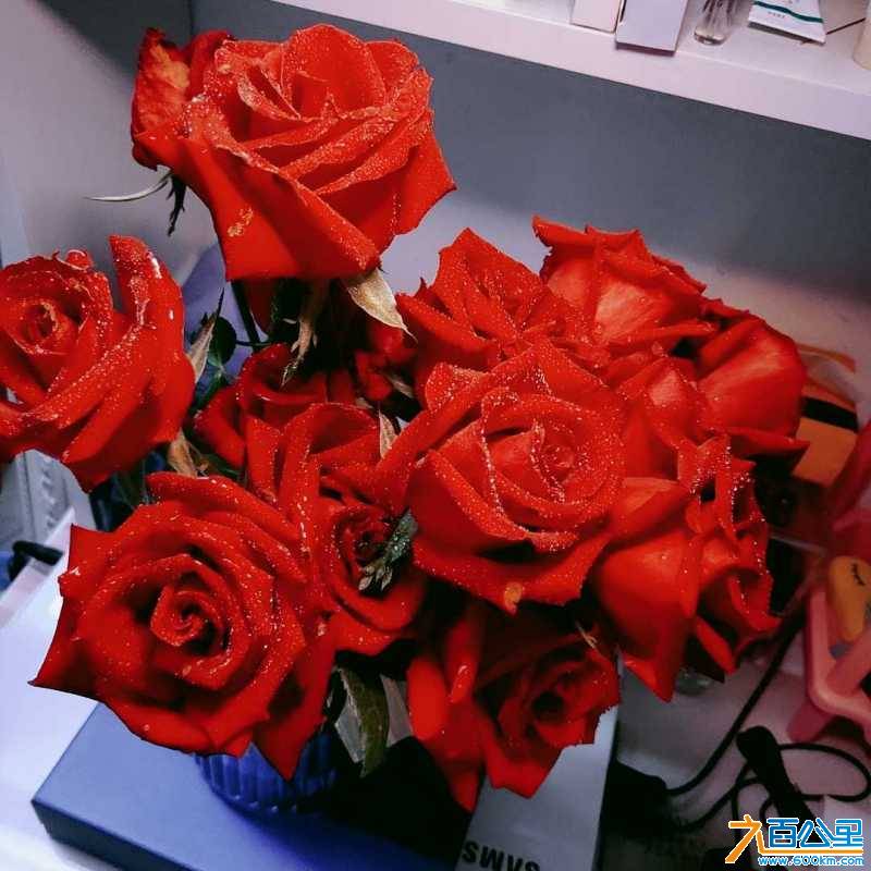 wechat_upload15615100395d12c097dfd20