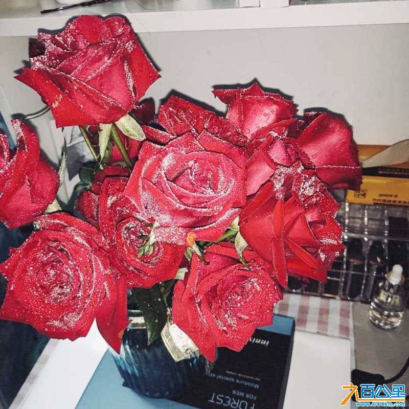 wechat_upload15615100415d12c09915f03