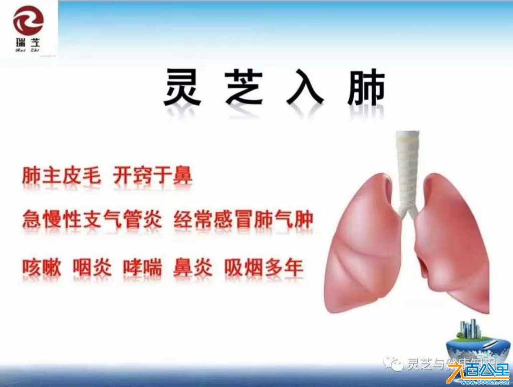 wechat_upload15886385045eb0b328ba7a0