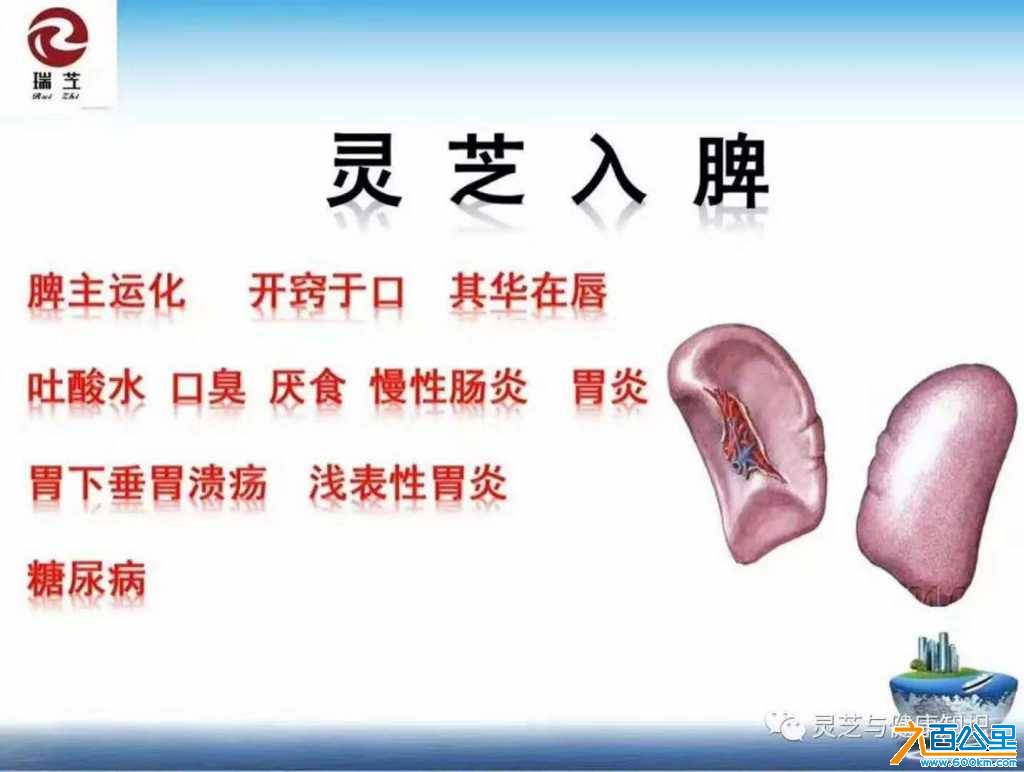 wechat_upload15886385465eb0b3527ce7f