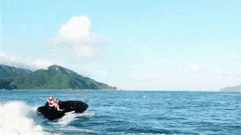 1.gif