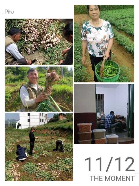 湖南坛子菜