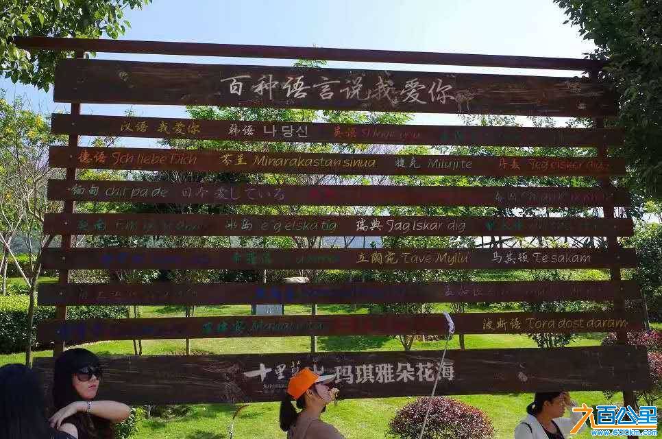wechat_upload16099399045ff5bbc0a82f3