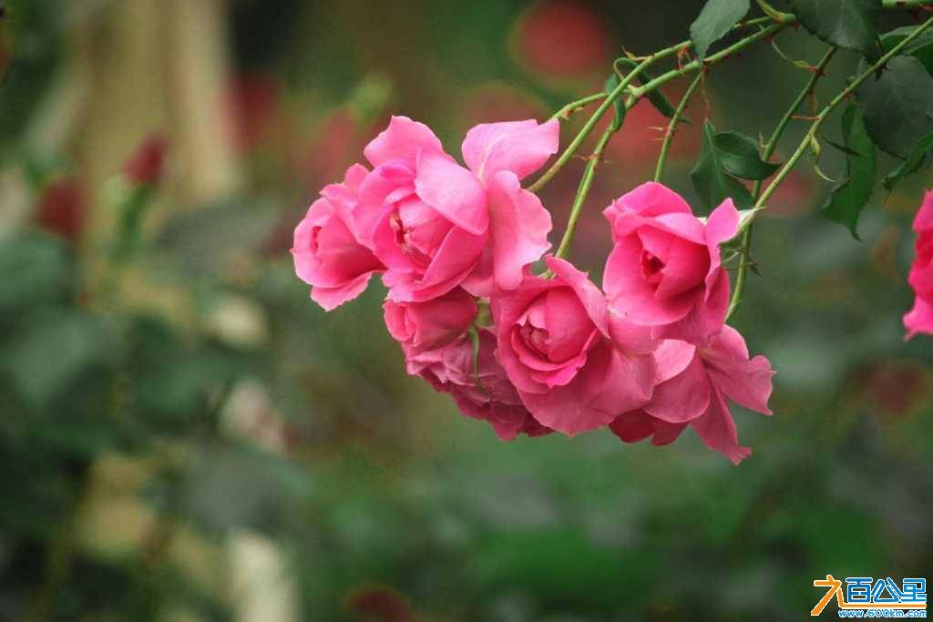 wechat_upload16151974726045f52054be4