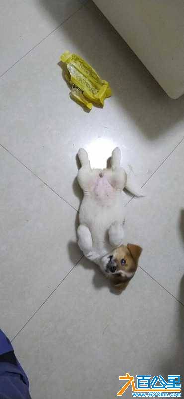 wechat_upload16206957596099dacf06154