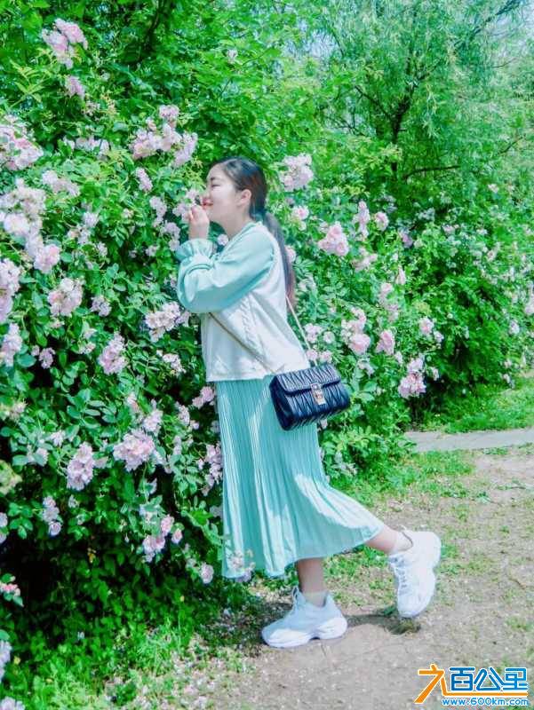 wechat_upload1620817312609bb5a00740e