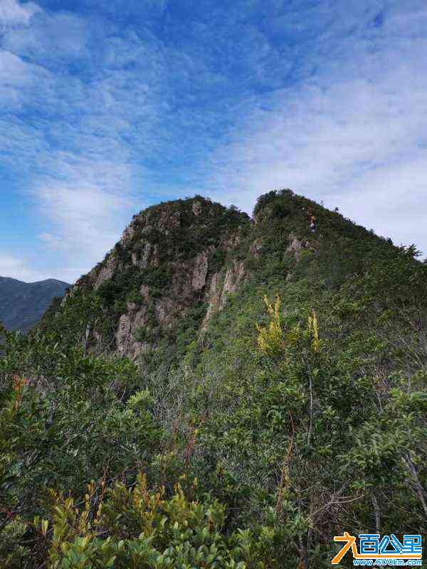 wechat_upload163618896661864326ed717