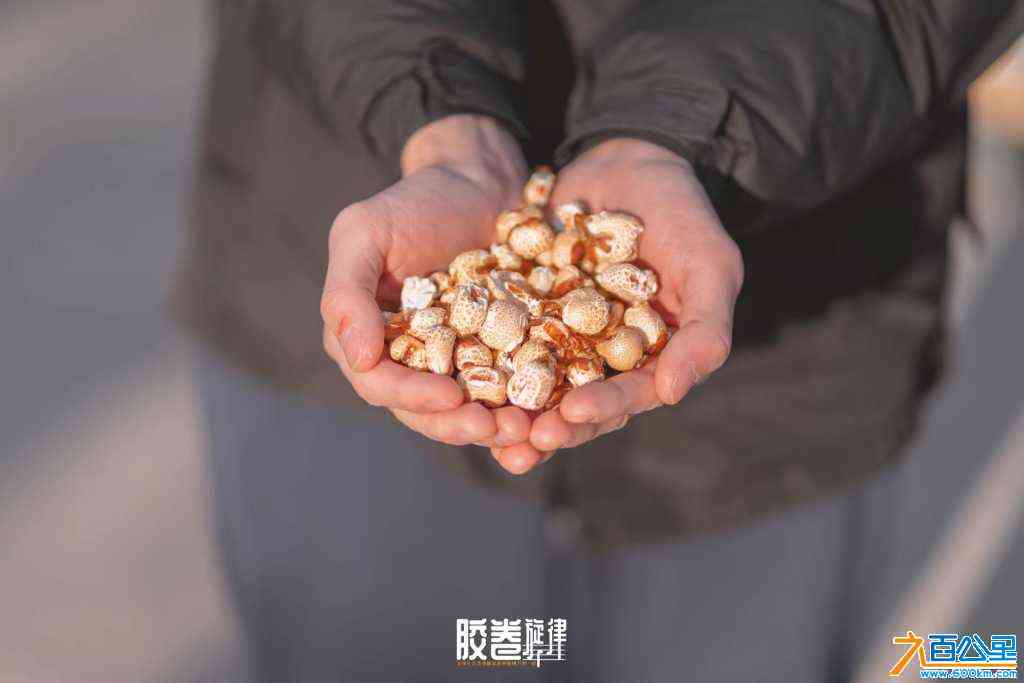 wechat_upload165087505562665aafcdf8c