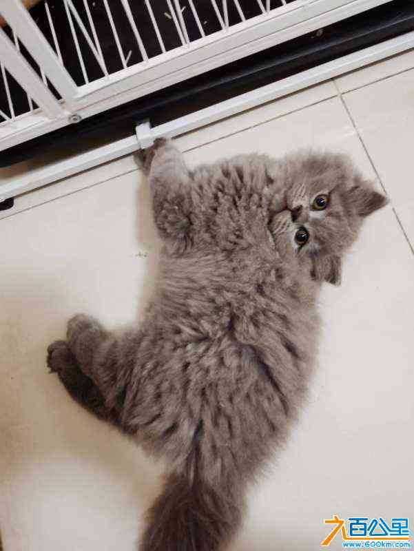 wechat_upload1652250490627b577ad7f56