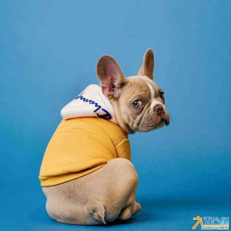 wechat_upload1667065525635d66b5f40e0