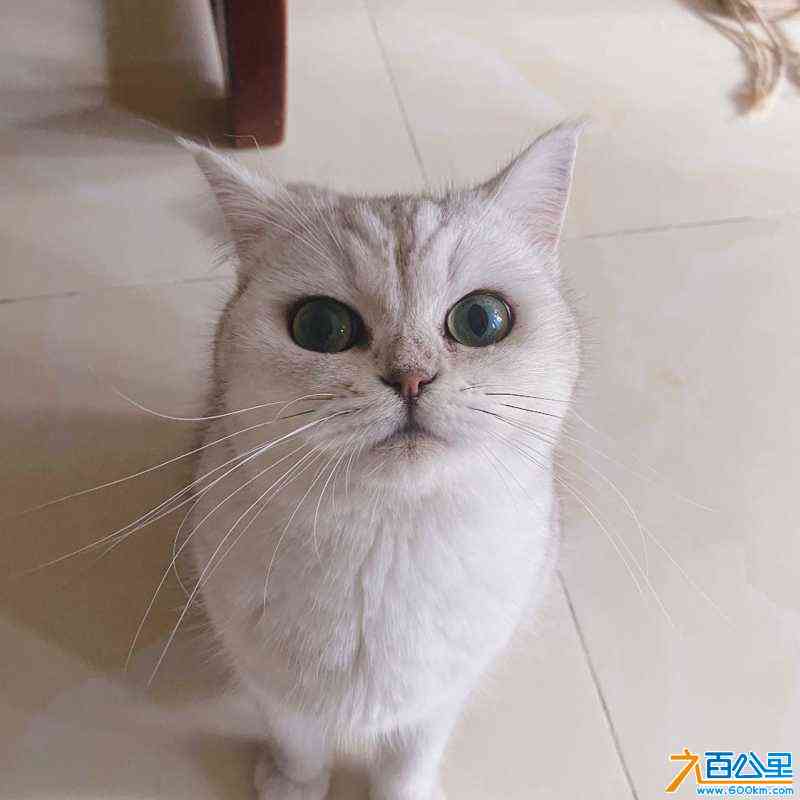 wechat_upload167466008763d148f7b0907