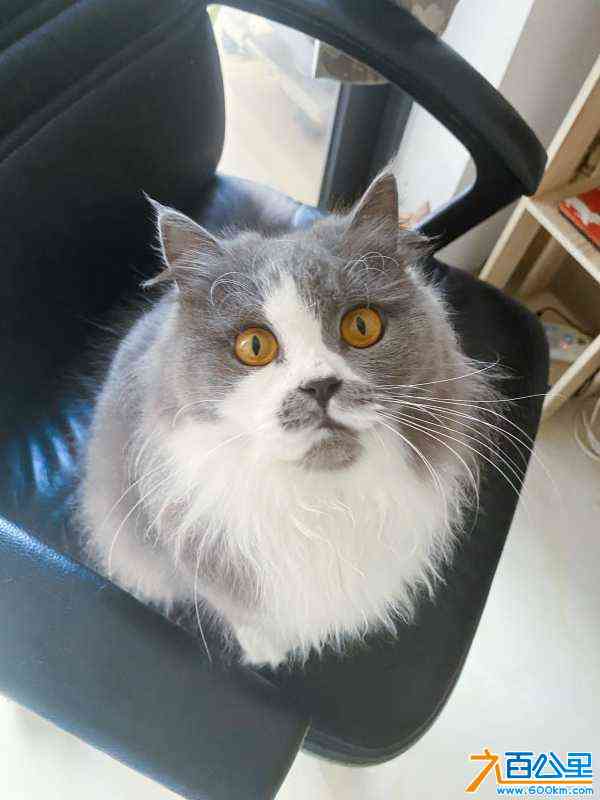 wechat_upload167466009063d148fadb85a