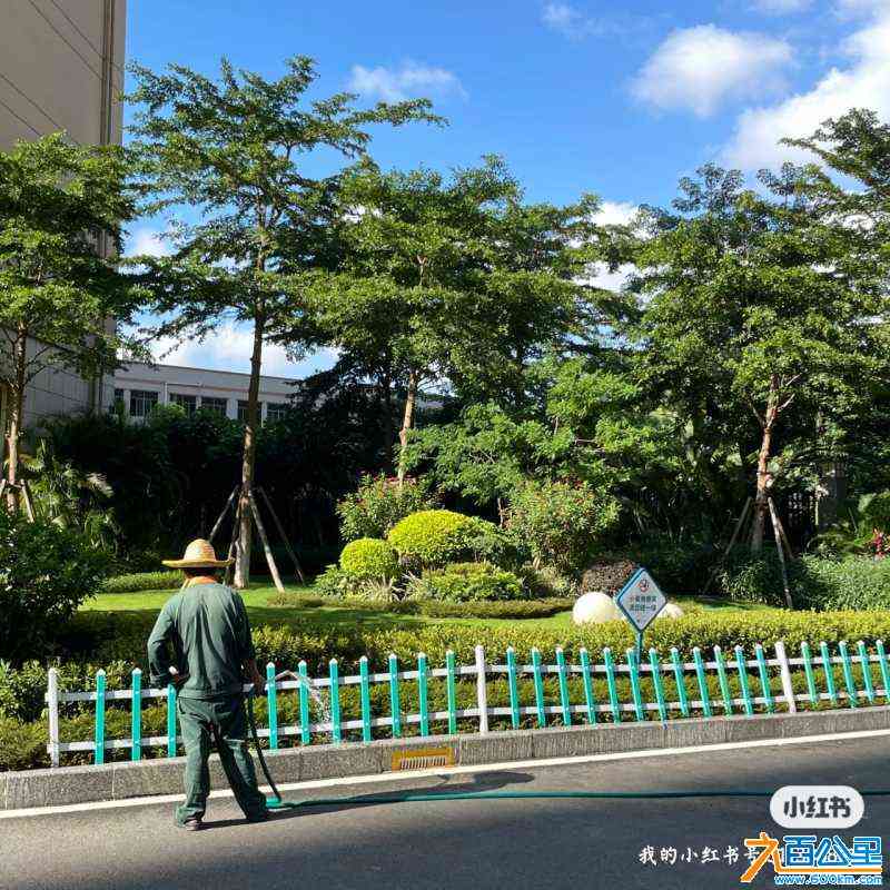 wechat_upload167558703363df6dd93e9cc