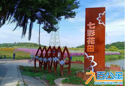 图片13.png