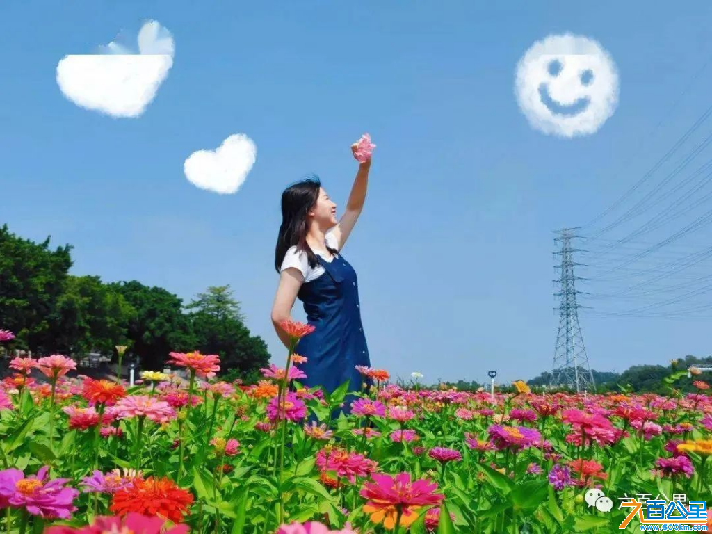图片14.png