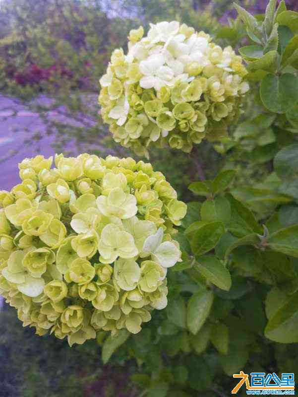 wechat_upload1681745464643d6638f21f0