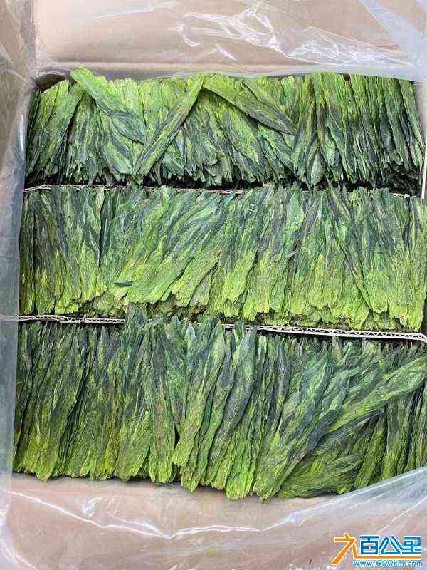wechat_upload1682918328644f4bb816e9c