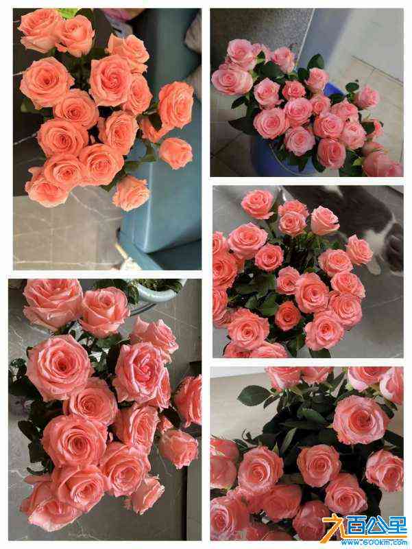 wechat_upload168560464364784923ad8d1