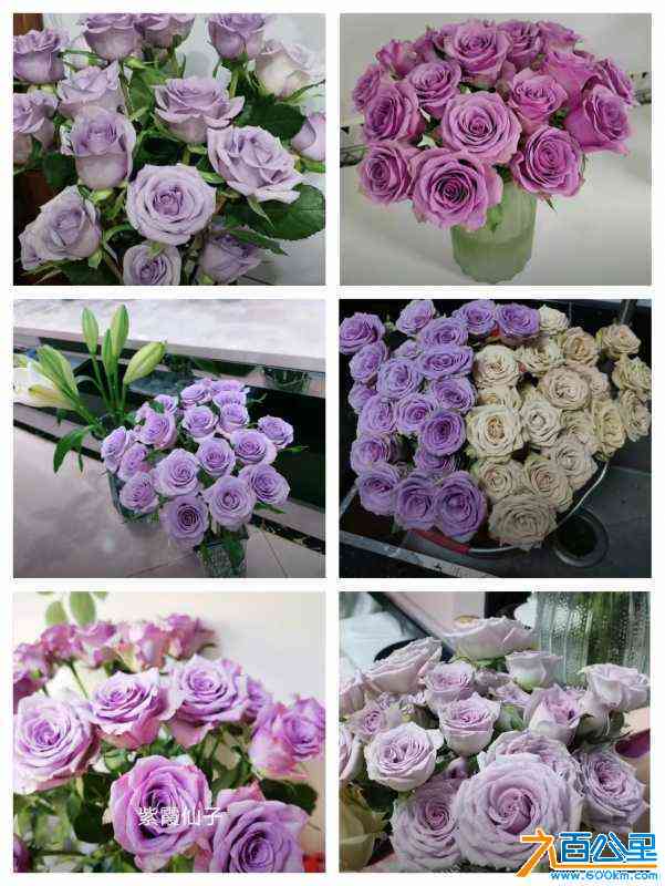 wechat_upload16856046486478492875ed3