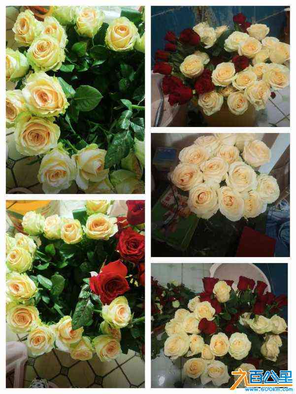 wechat_upload16856046546478492ecb8ce