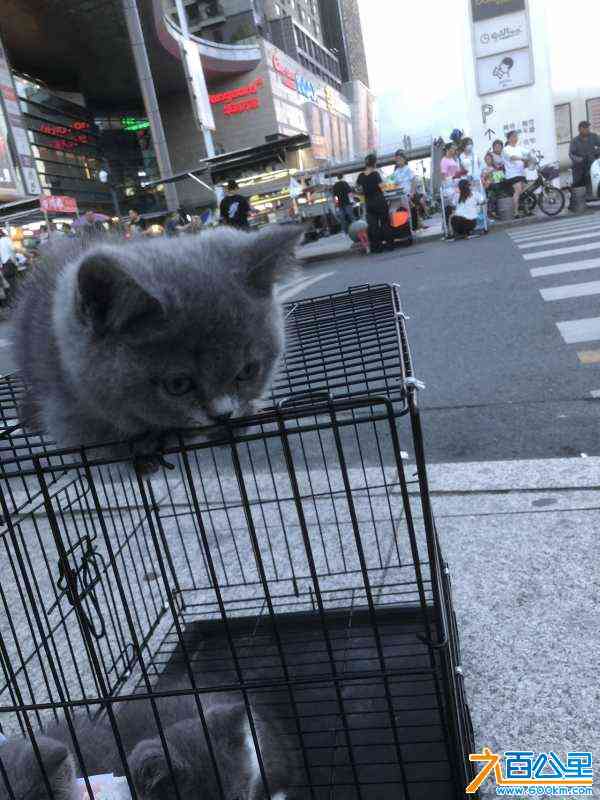 wechat_upload1685876472647c6ef8e93b0