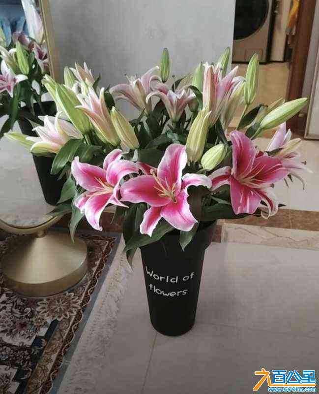 wechat_upload16862342046481e45c6aa01
