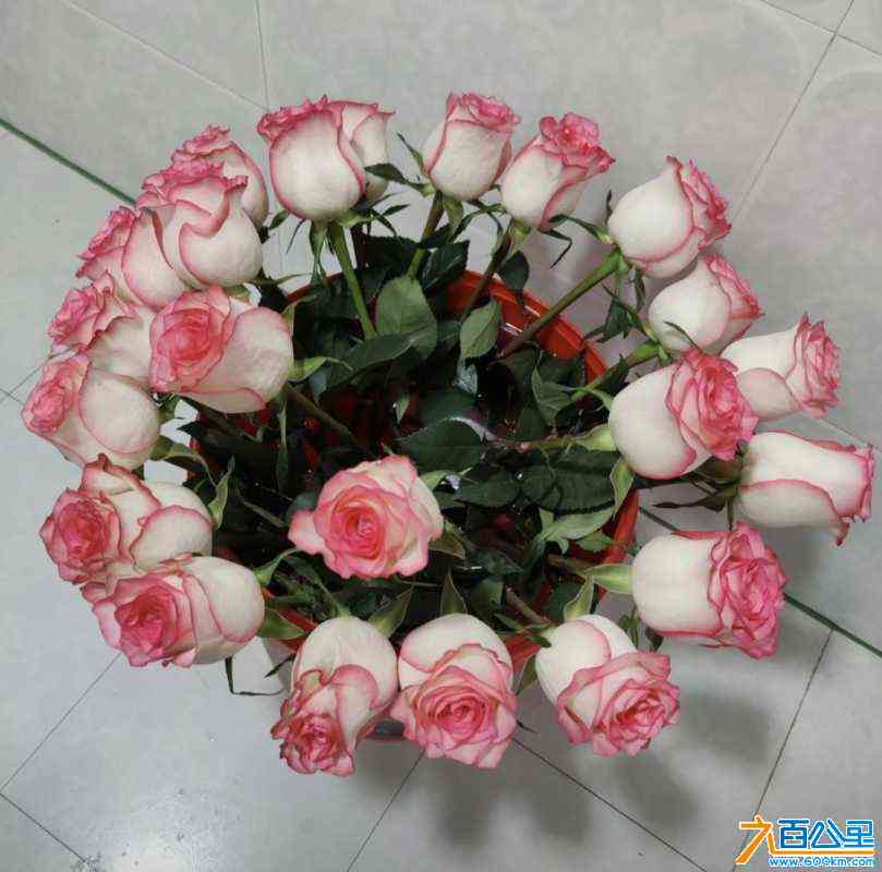 wechat_upload16862342066481e45e7e6b3