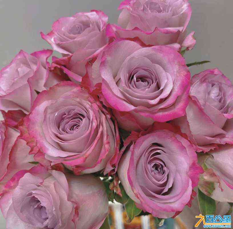 wechat_upload16862342086481e46023d31