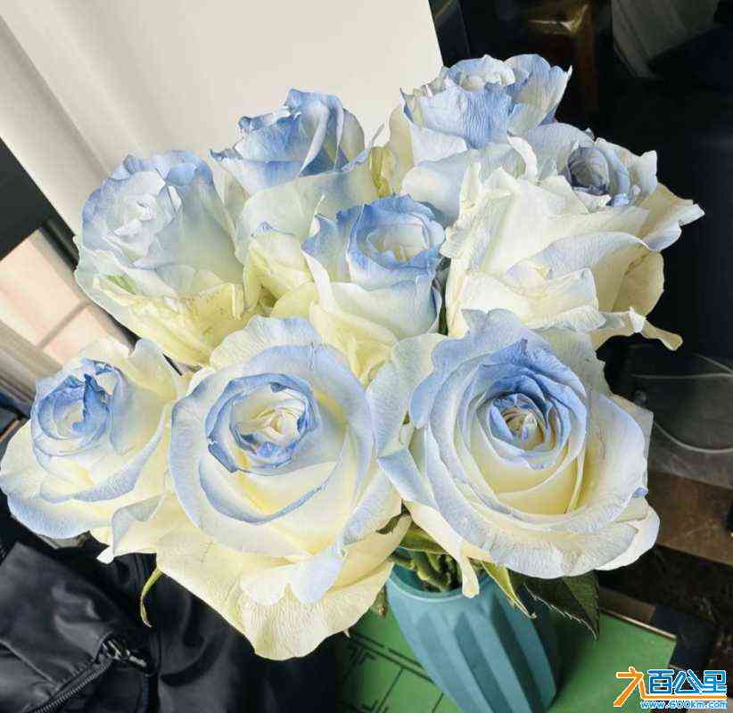 wechat_upload16862342106481e4624c52f