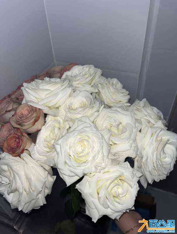 wechat_upload16862342126481e46405eff
