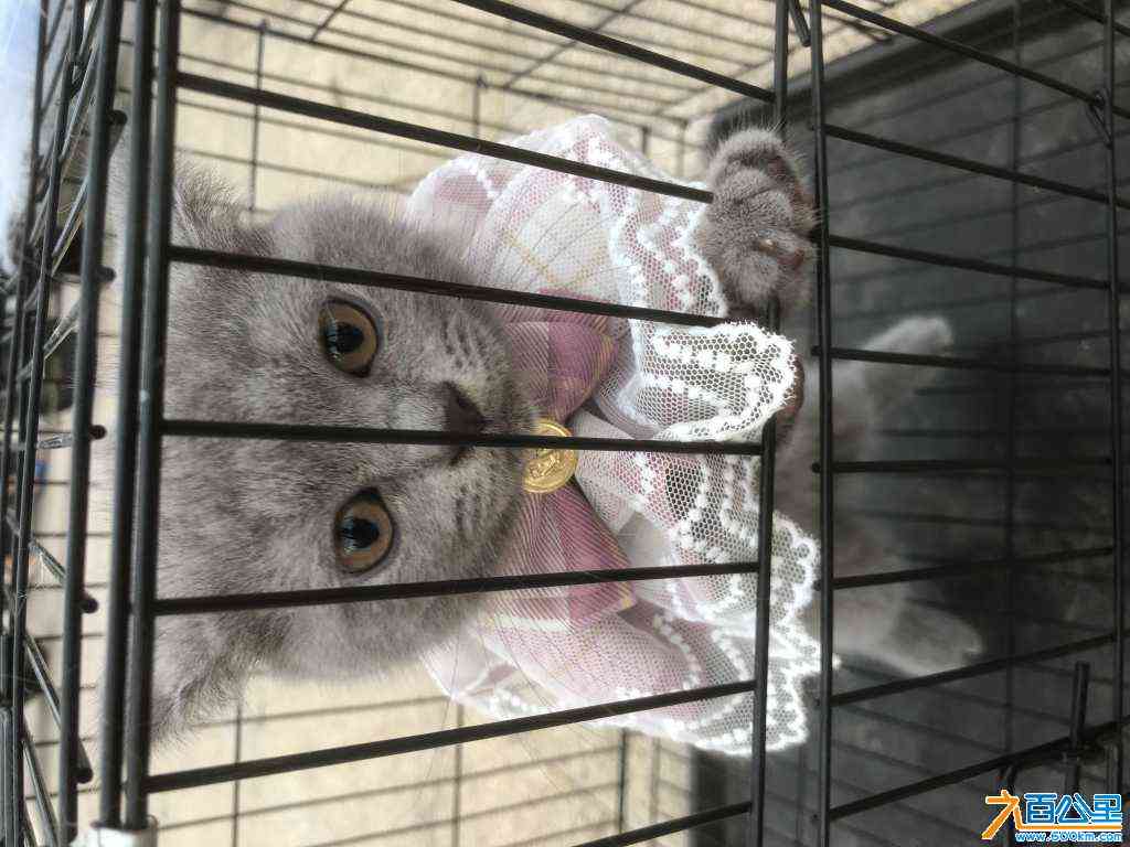 wechat_upload1687081717648ed2f5d50ca