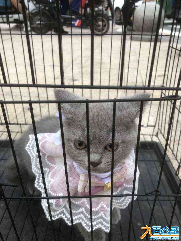 wechat_upload1687360701649314bdf1ae5