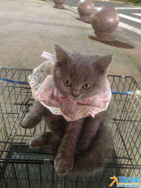 wechat_upload168859338664a5e3ea0fd83