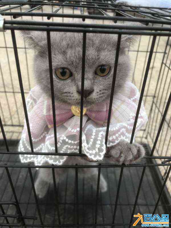 wechat_upload168859338764a5e3ebb62cb