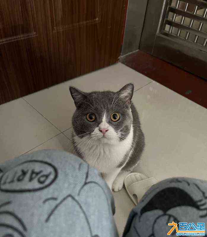 wechat_upload169035854664c0d31228183