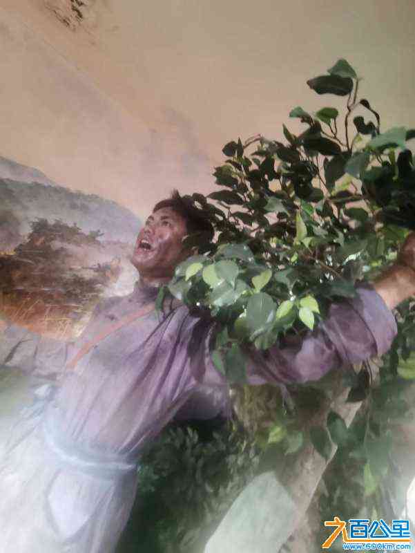 wechat_upload169183520964d75b498eb12