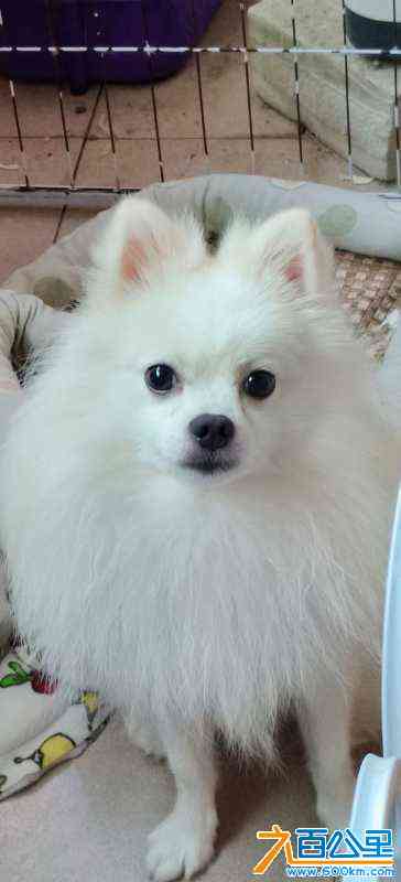 wechat_upload169433977064fd92baedf1c