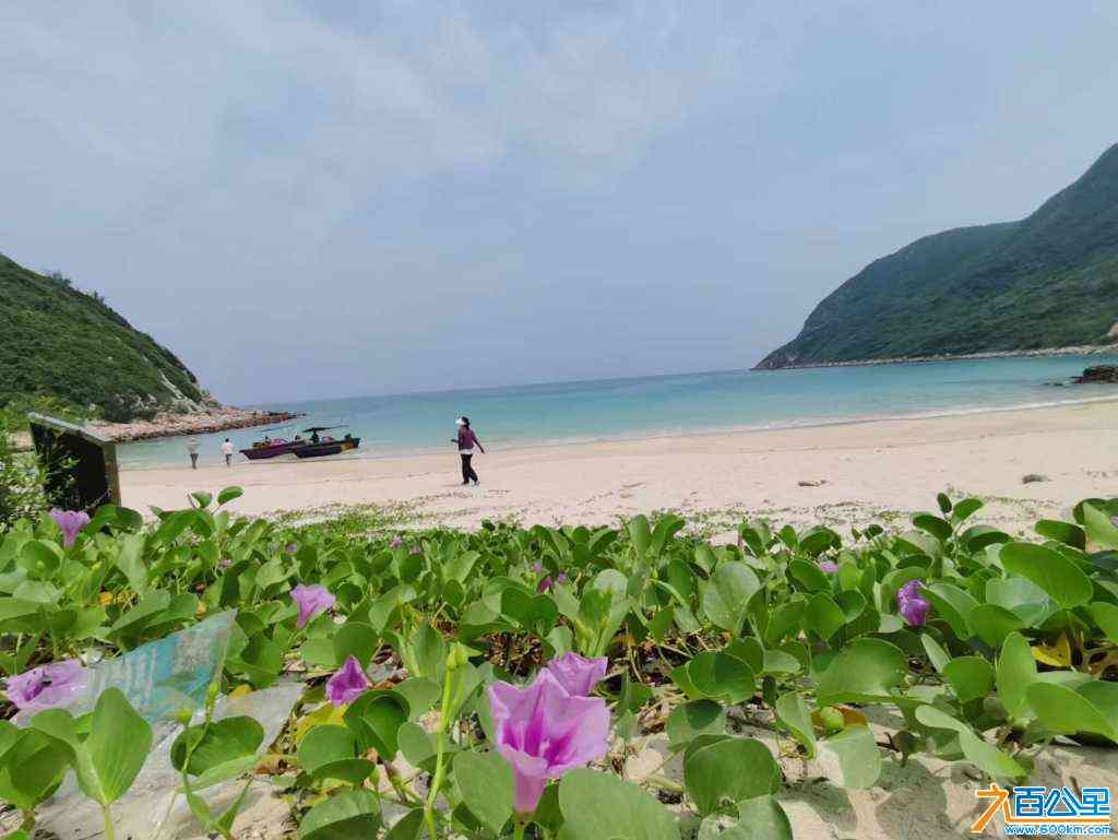 wechat_upload1696582022651fc986e315b