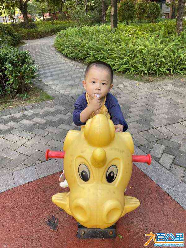 wechat_upload1698484810653cd24a68a2b