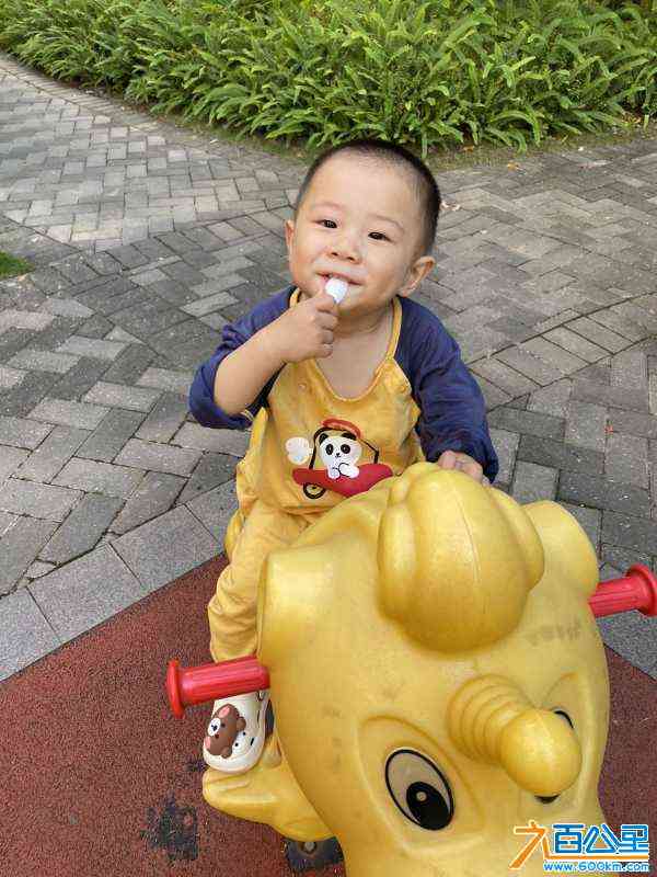 wechat_upload1698484812653cd24c267f9