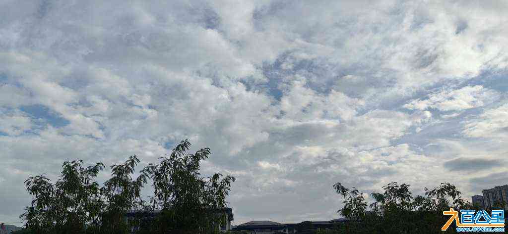 wechat_upload16987576316540fbffb8216