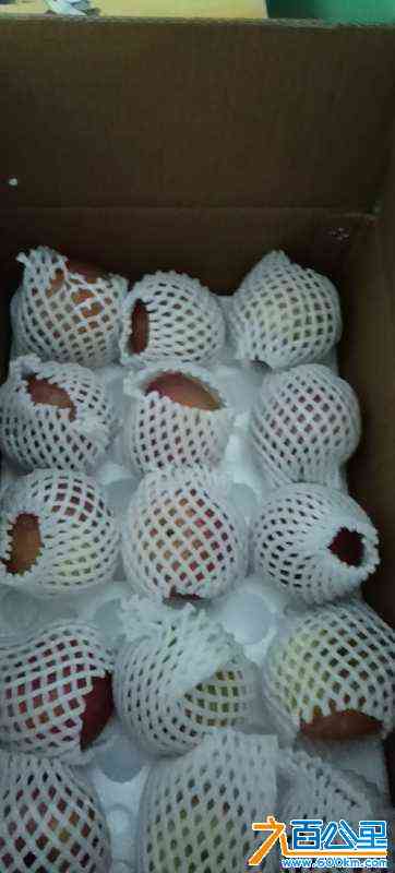 wechat_upload169884796565425cdd26e4e