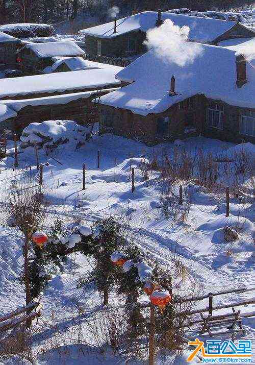 wechat_upload170115002865657d4c88d6d