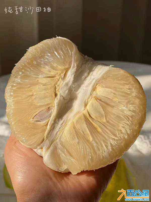 wechat_upload1701693543656dc8678b298