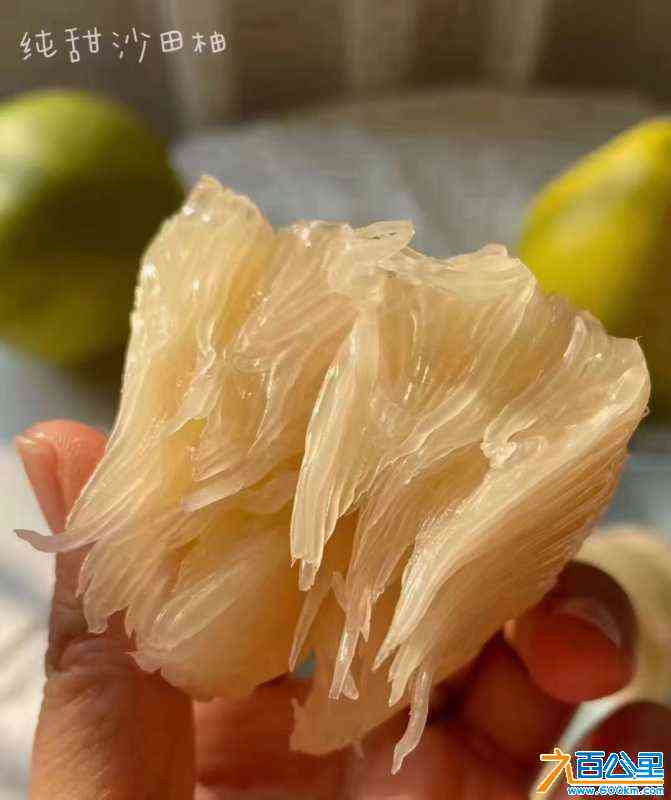 wechat_upload1701693545656dc8690eee6